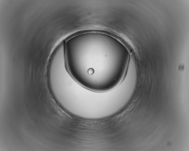 X0000094431364200711291523