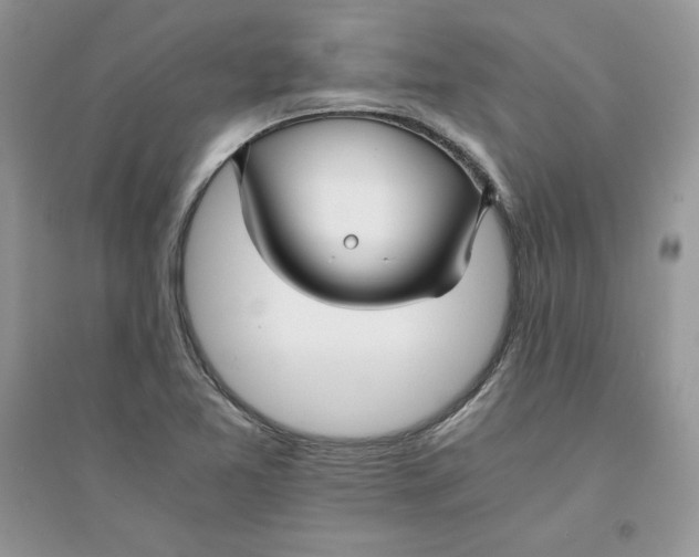 X0000094431365200711291523