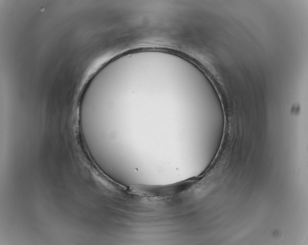 X0000094431366200711291523