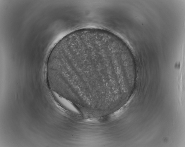 X0000094431367200711291523