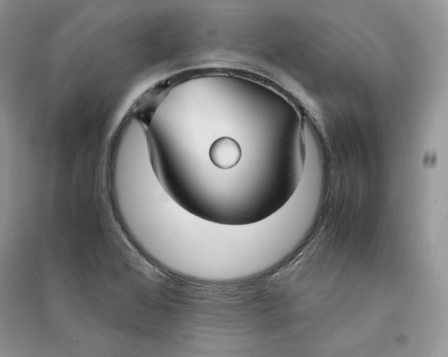 X0000094431368200711291523