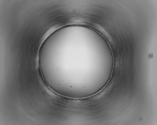 X0000094431370200711291523