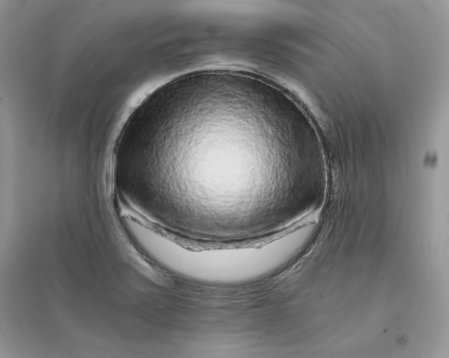 X0000094431371200711291523