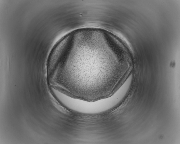 X0000094431372200711291523