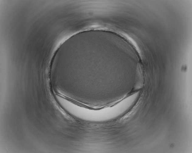 X0000094431373200711291523