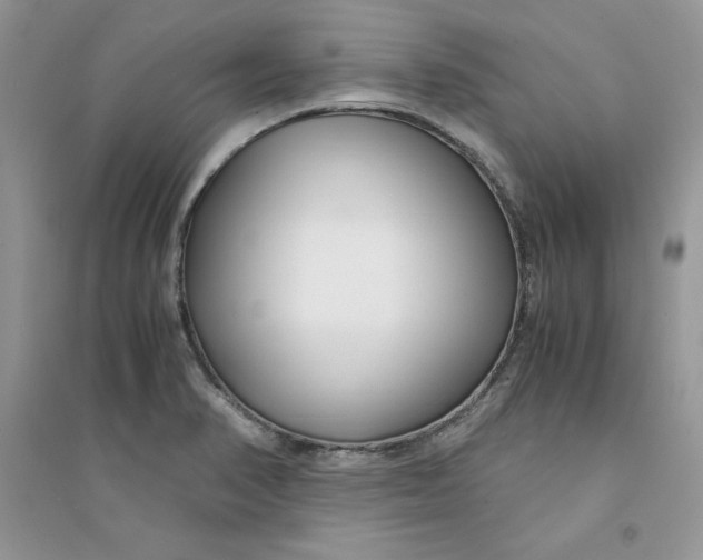 X0000094431374200711291523