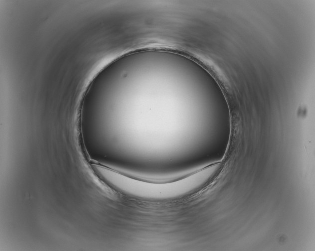 X0000094431375200711291523