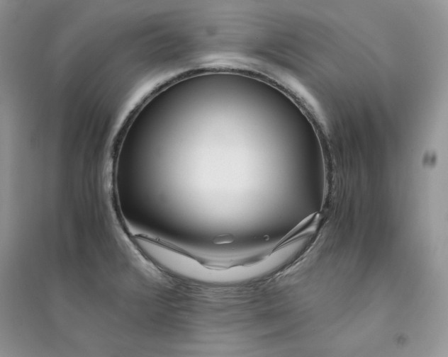 X0000094431376200711291523