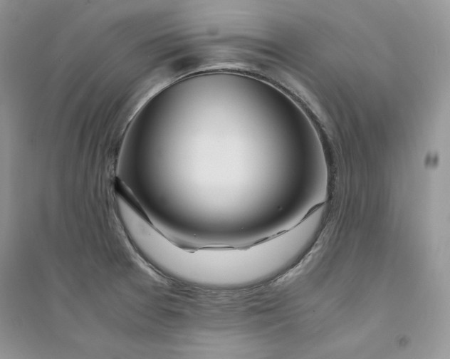 X0000094431377200711291523