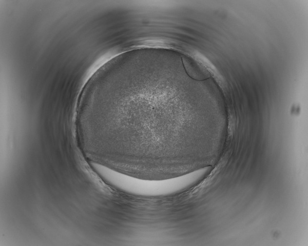 X0000094431378200711291523