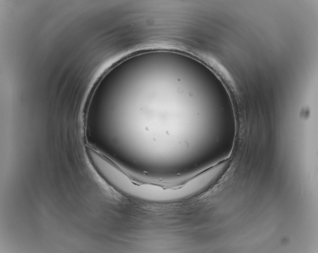 X0000094431380200711291523