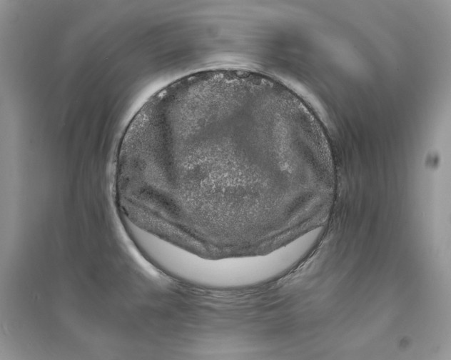 X0000094431383200711291523