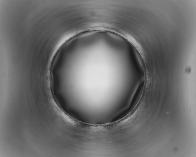 X0000094431384200711291523