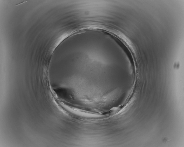 X0000094431385200711291523