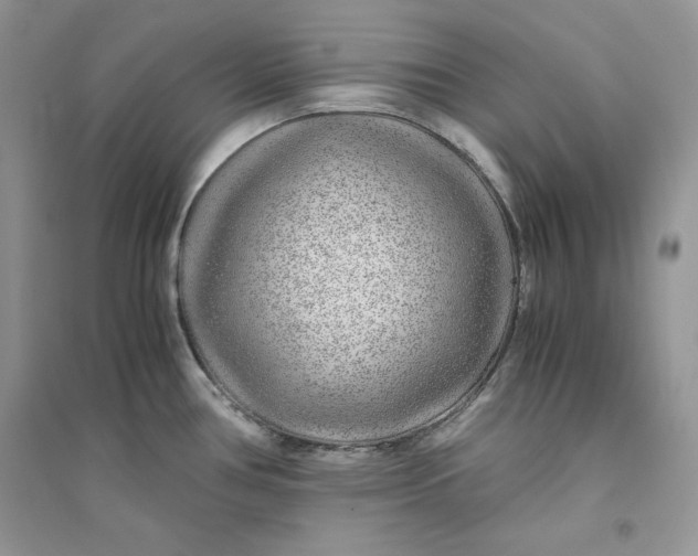 X0000094431386200711291523