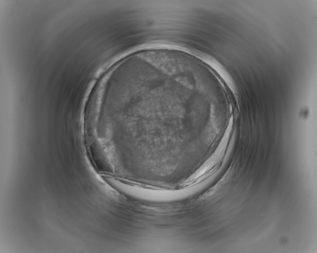 X0000094431388200711291523