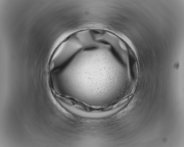 X0000094431389200711291523