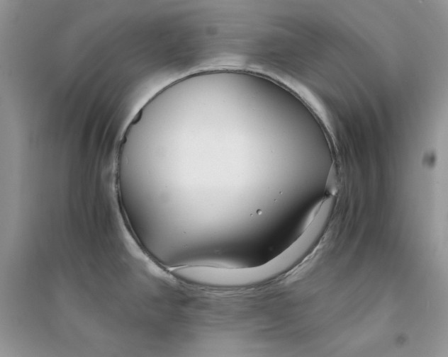 X0000094431390200711291523