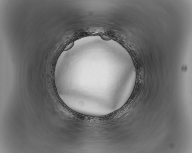 X0000094431393200711291522