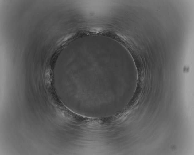 X0000094431394200711291522