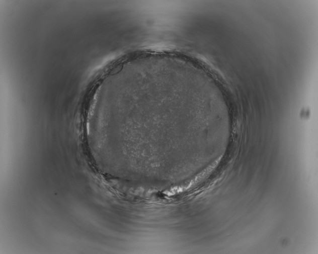 X0000094431398200711291522