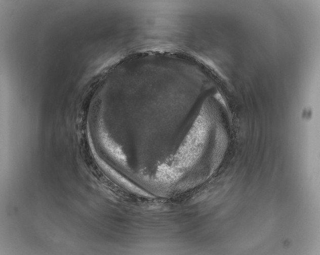 X0000094431399200711291522