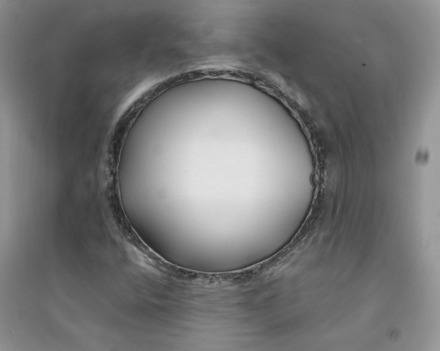 X0000094431400200711291522