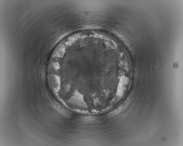 X0000094431401200711291522