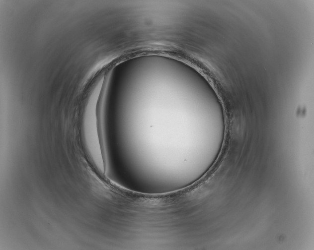 X0000094431402200711291522