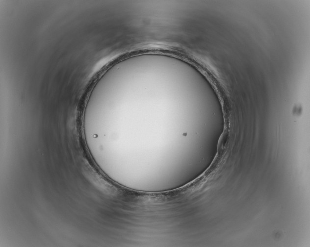 X0000094431404200711291522