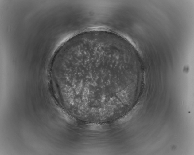 X0000094431405200711291522