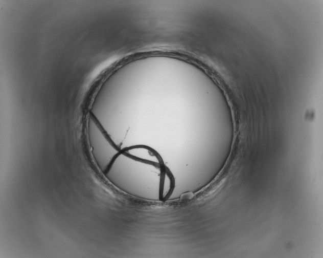 X0000094431406200711291522