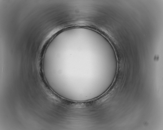 X0000094431410200711291522