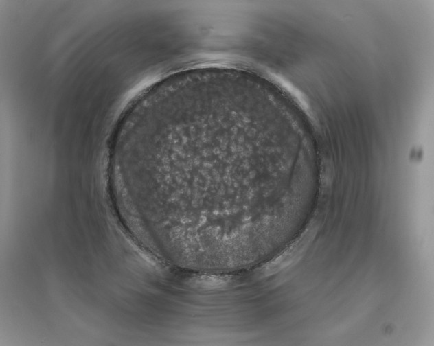 X0000094431411200711291522