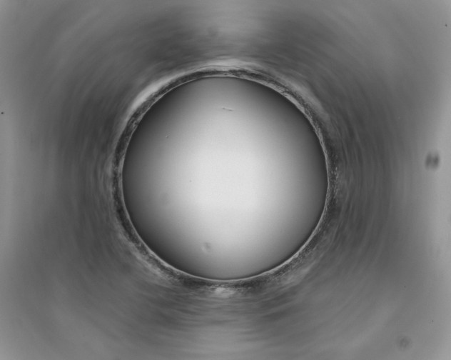 X0000094431412200711291522