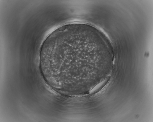 X0000094431413200711291522