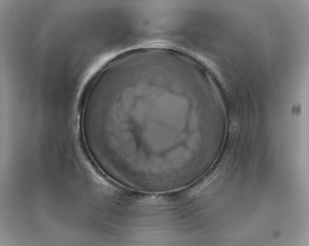 X0000094431414200711291522