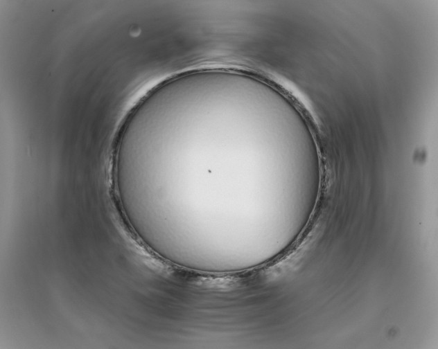 X0000094431415200711291522