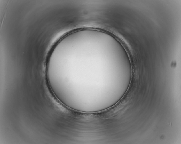 X0000094431416200711291522