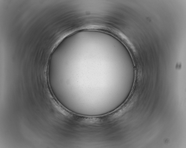 X0000094431417200711291522