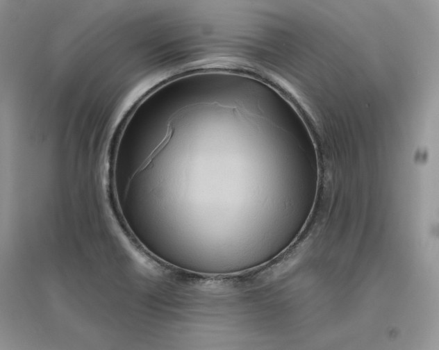 X0000094431418200711291522