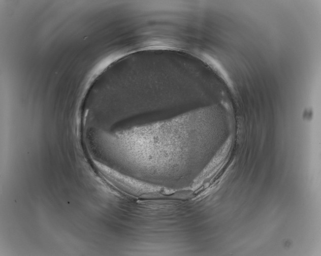 X0000094431419200711291522