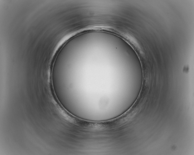 X0000094431420200711291522