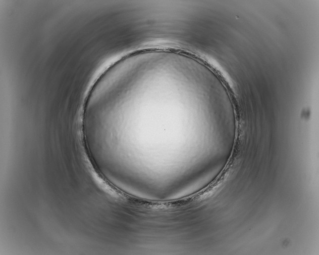 X0000094431421200711291522