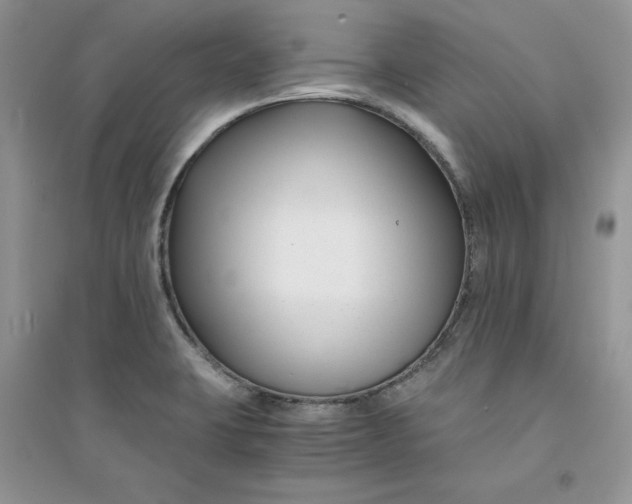 X0000094431423200711291522