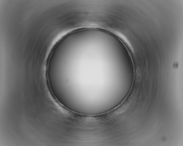 X0000094431424200711291522