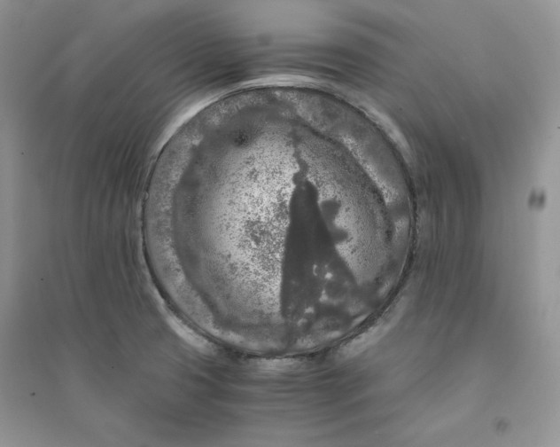 X0000094431425200711291522