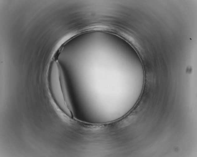 X0000094431426200711291522