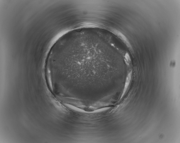 X0000094431427200711291522