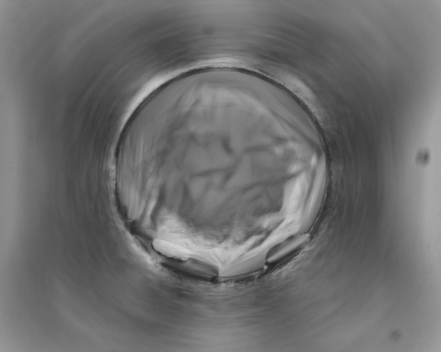 X0000094431428200711291523